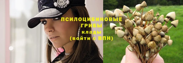 мдпв Верхнеуральск