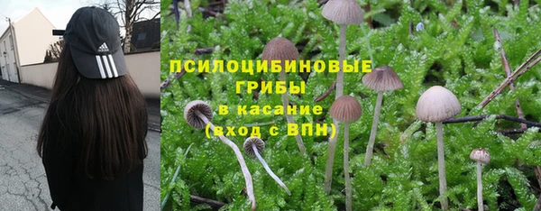 мдпв Верхнеуральск