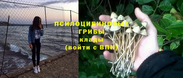 крисы Верея