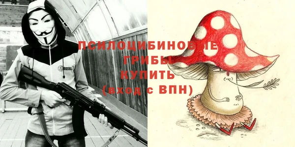 крисы Верея