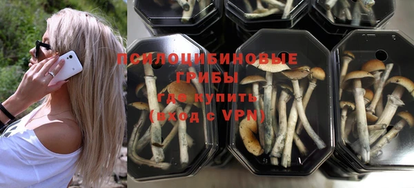 крисы Верея