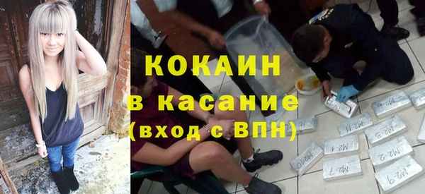крисы Верея